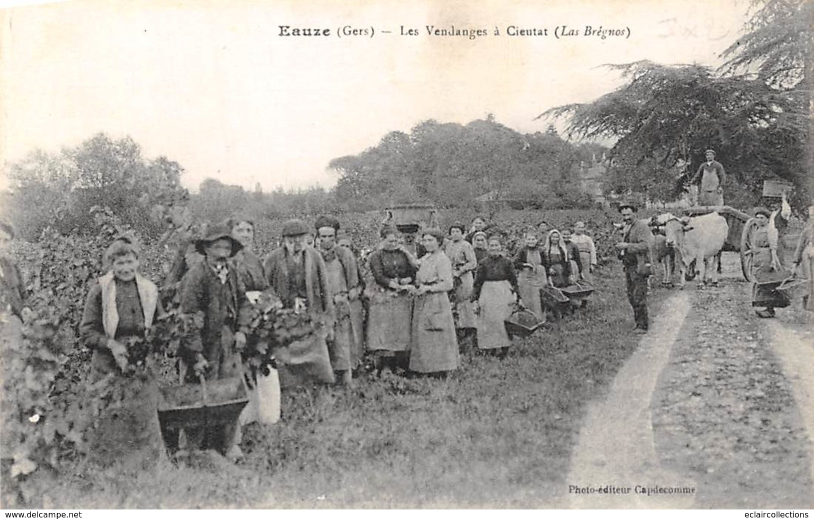 Eauze          32         Les Vendanges A Cieutat    (Voir Scan) - Otros & Sin Clasificación