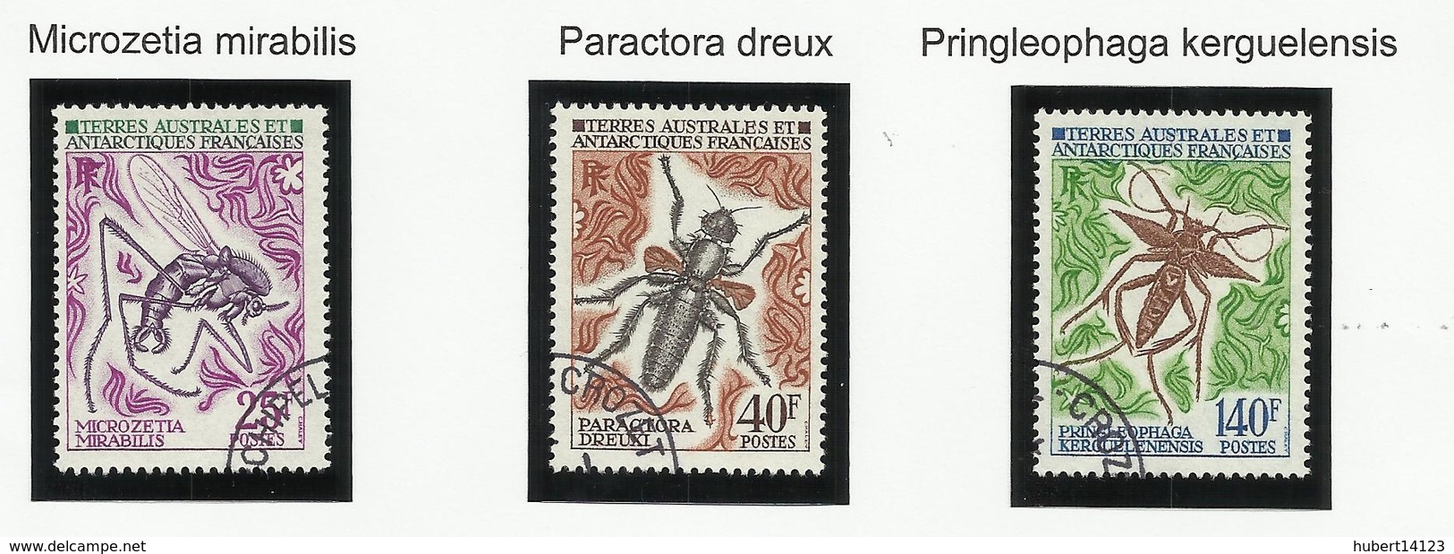 TAAF N° 40 à 42 ° Oblitérés De 1972 Insecte - Used Stamps