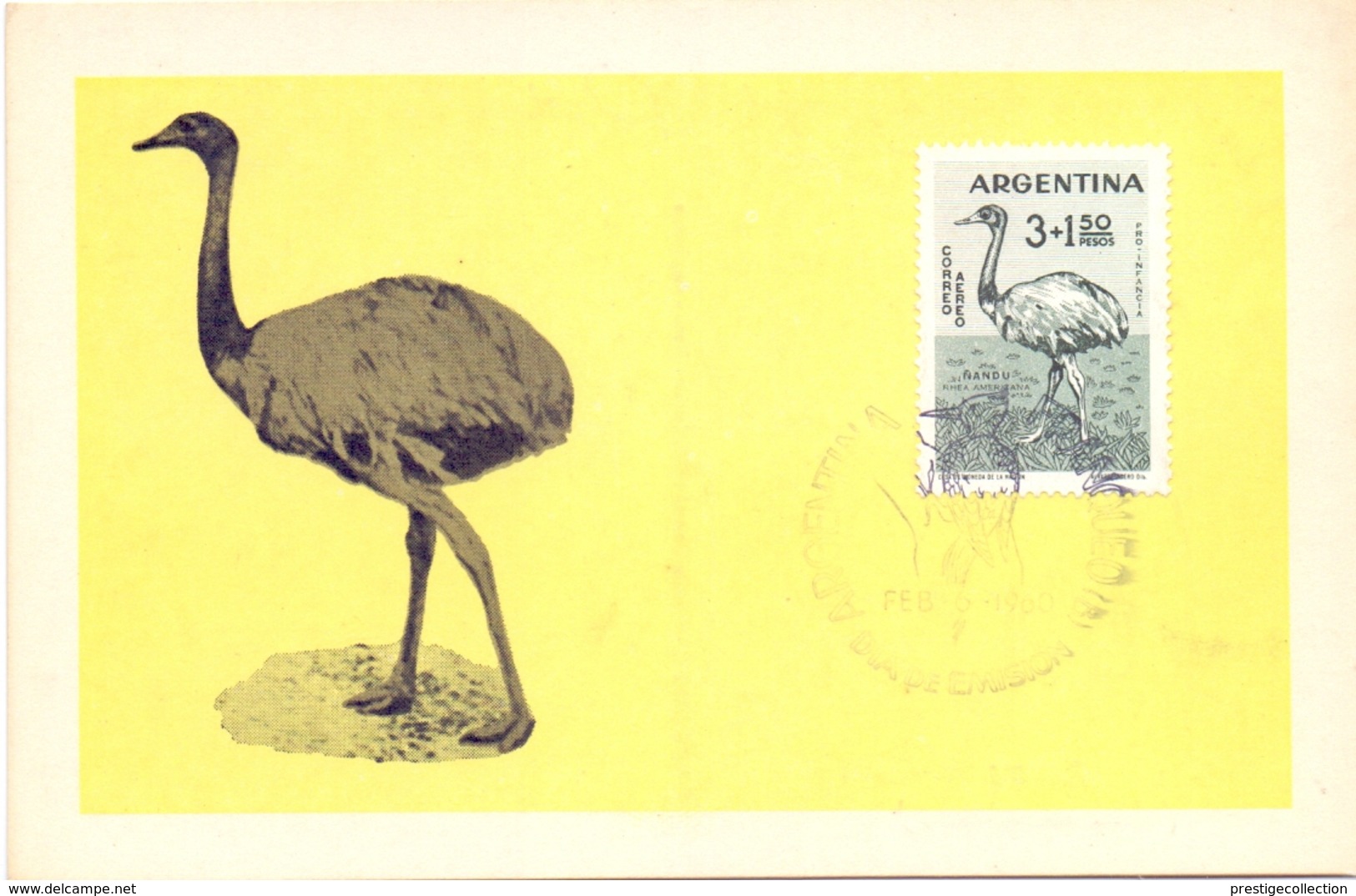 POST CARD MAXIMUM NANDU  ARGENTINA 1960     (MAGG20049) - Autruches