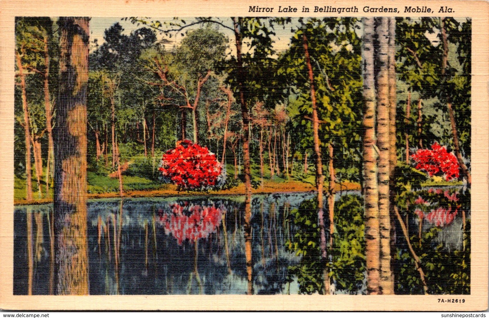 Alabama Mobile Mirror In Bellingrath Gardens 1936 Curteich - Mobile