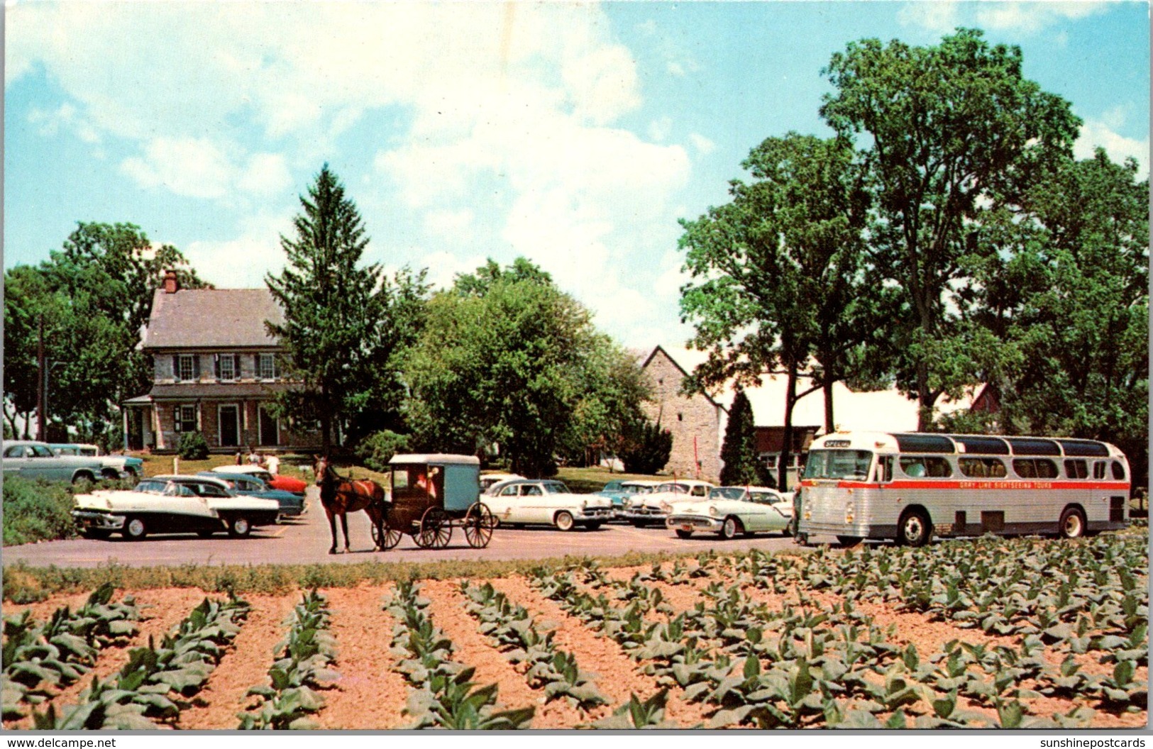 Pennsylvania Lancaster Typical Amish Farm & House - Lancaster