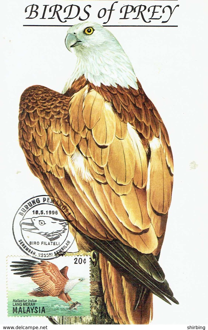 30V: CM,Carte Maximum Card,Malaysia Bird Of Prey, Eagle, Hawk, Maxicard,MC - Eagles & Birds Of Prey