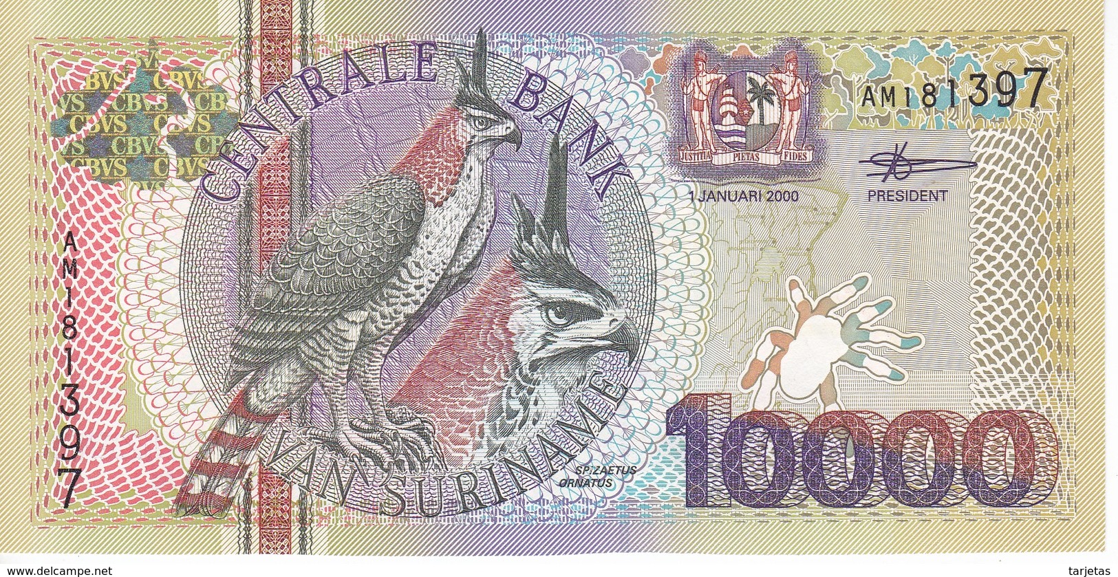 BILLETE DE SURINAM DE 10000 GULDEN DEL AÑO 2000  SIN CIRCULAR-UNCIRCULATED (PAJARO-BIRD) (BANKNOTE) - Suriname