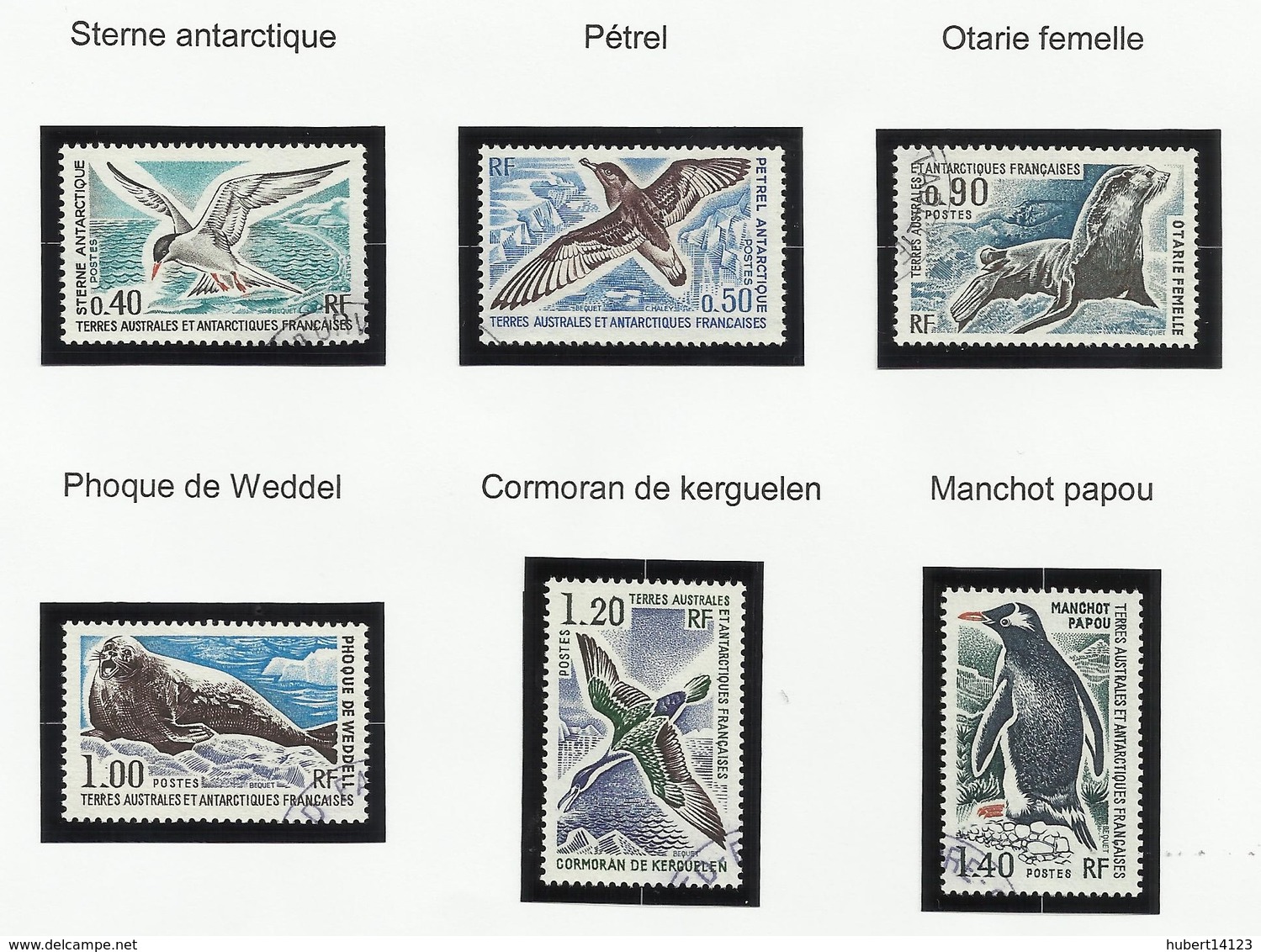 TAAF N° 55 à 60 ° Oblitérés De 1976 Oiseau Otarie Manchot - Used Stamps