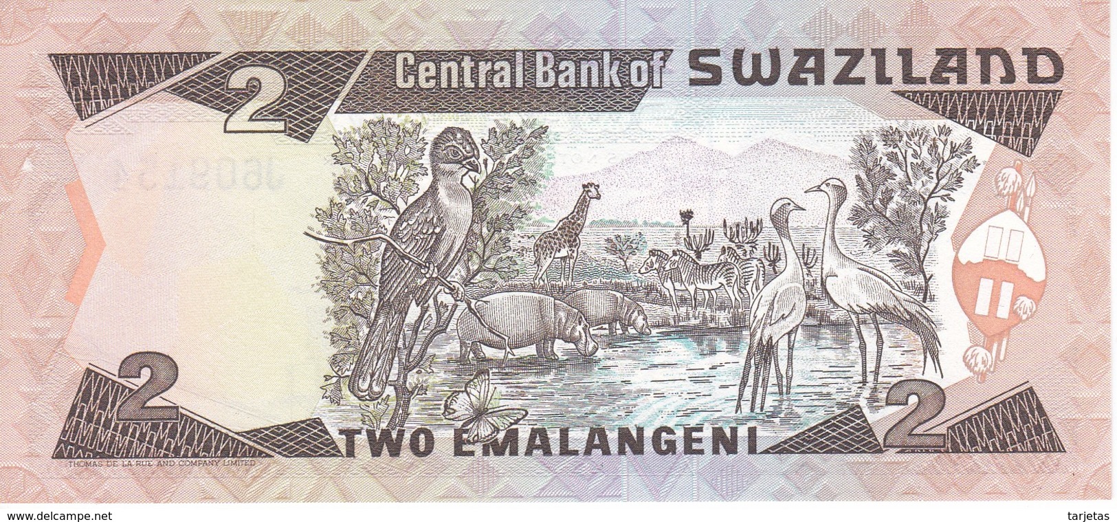 BILLETE DE SWAZILAND DE 2 EMALANGENI DEL AÑO 1987   (BANKNOTE) LEON-ELEFANTE-LION-ELEPHANT - Swaziland