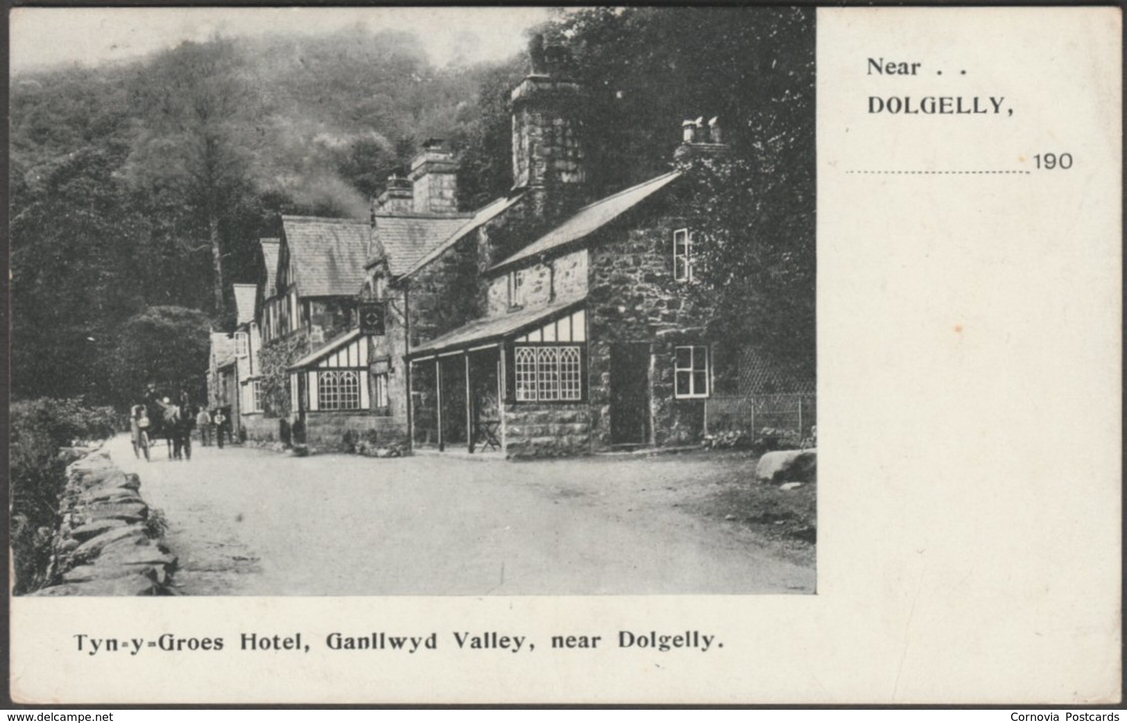 Tyn-y-Groes Hotel, Ganllwyd Valley, Dolgelly, Merionethshire, C.1905 - Quellyn Roberts Postcard - Merionethshire