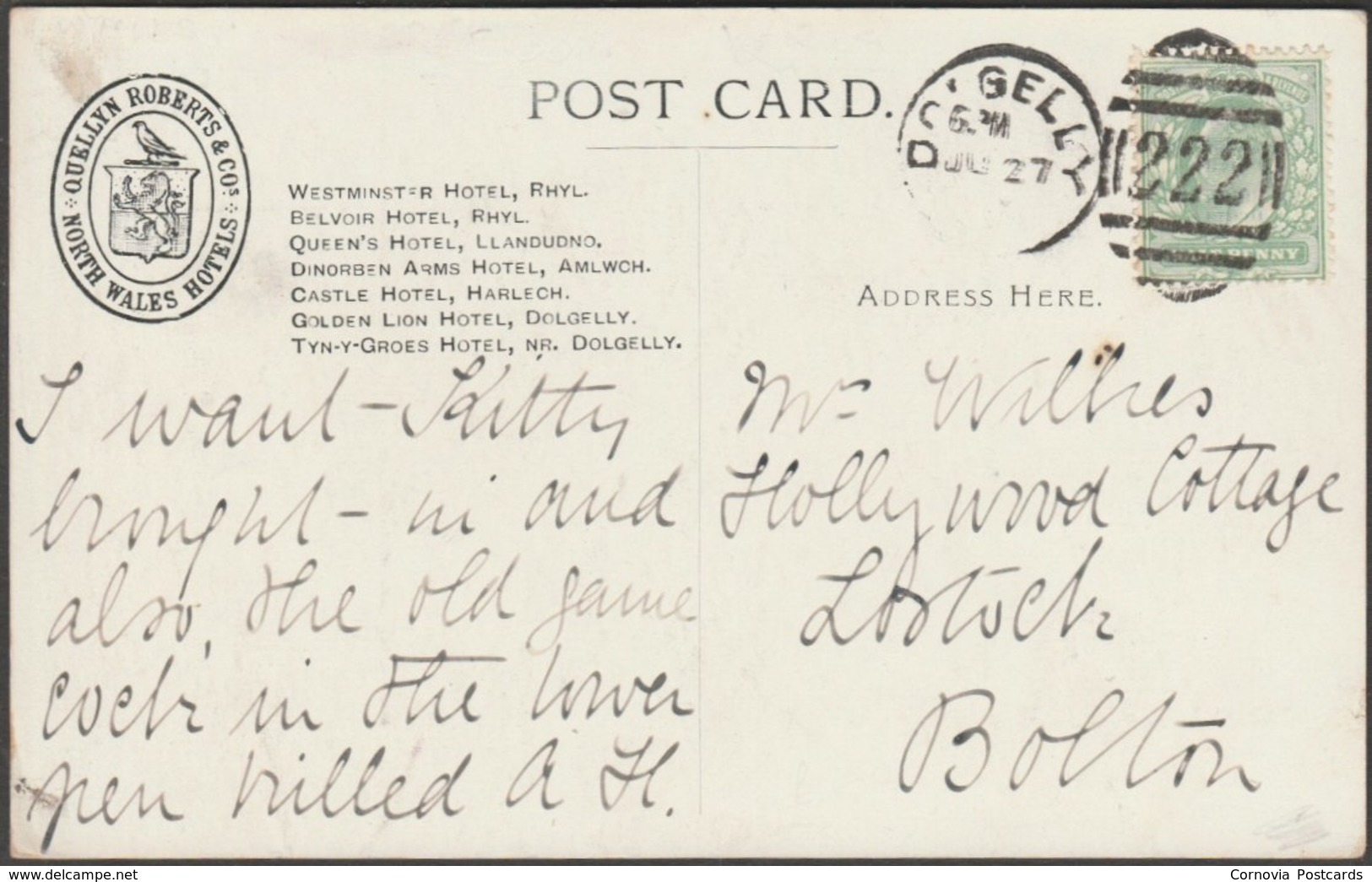 Tyn-y-Groes Hotel, Ganllwyd Valley, Dolgelly, Merionethshire, C.1905 - Quellyn Roberts Postcard - Merionethshire
