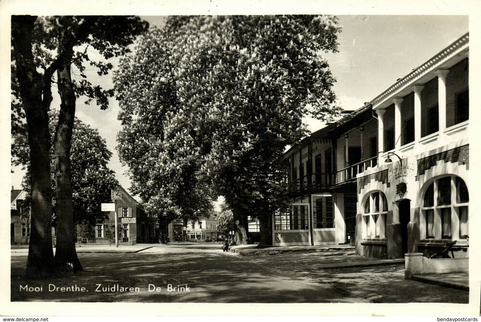 Nederland, ZUIDLAREN, De Brink, Mooi Drenthe (1957) Ansichtkaart - Zuidlaren