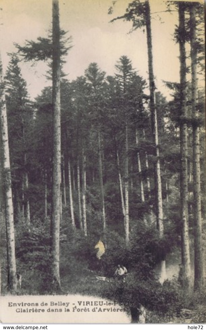 01 - Virieu-le-Petit - Clairière Dans La Forêt D'Arvières - Non Classés