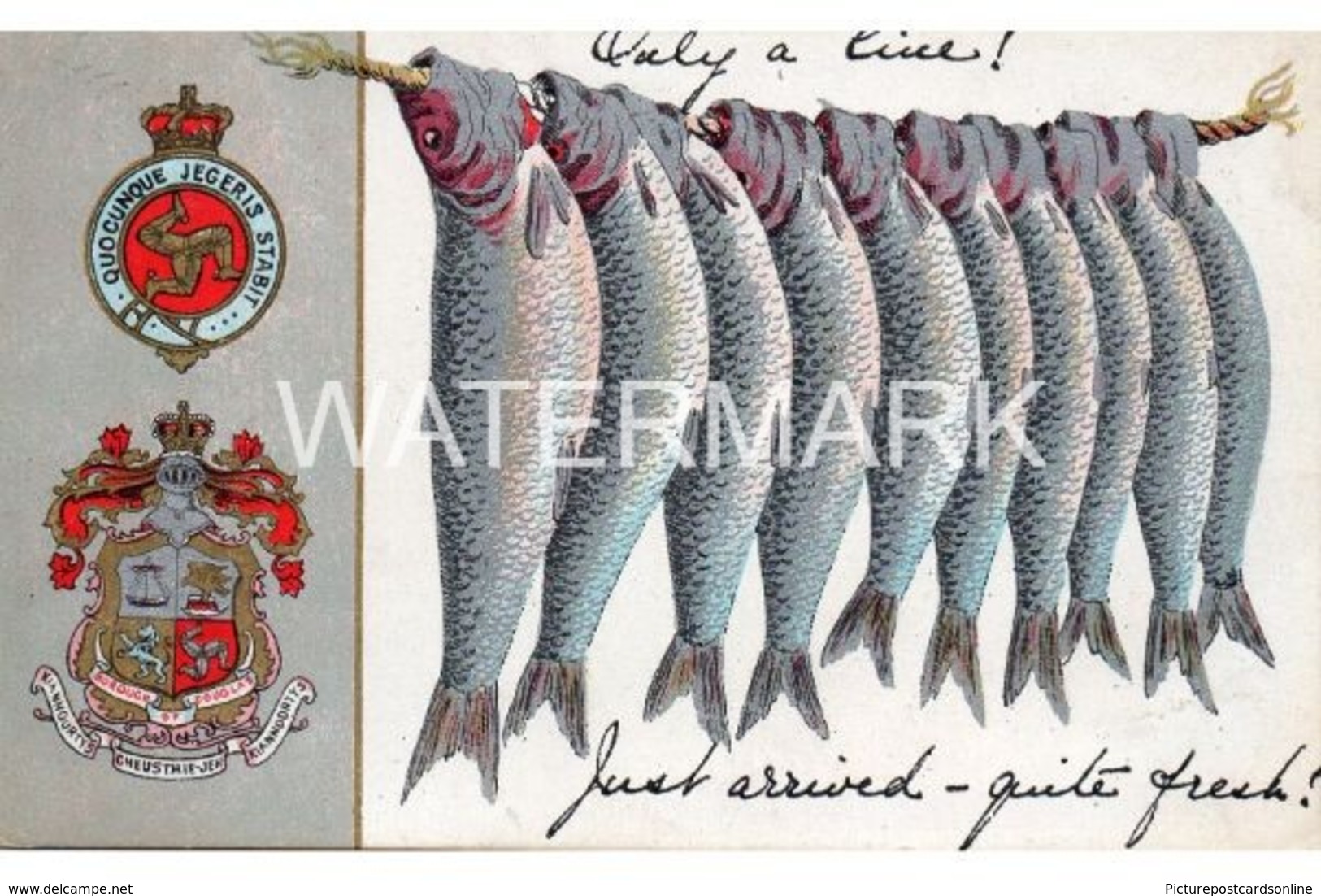 ISLE OF MAN FISH JUST ARRIVED FRESH OLD COLOUR POSTCARD - Isle Of Man