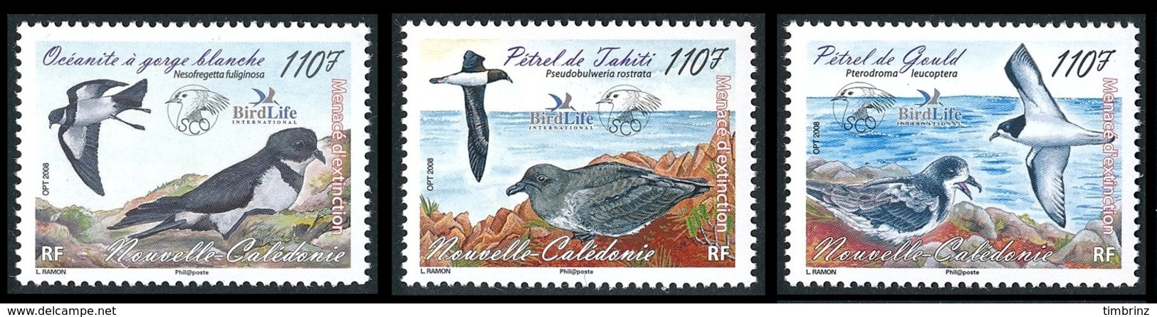 NOUV.-CALEDONIE Année Complète 2008 - Yv. 1034 à 1060 ** - 24 Tp ** MNH ..Réf.NCE23694 - Komplette Jahrgänge