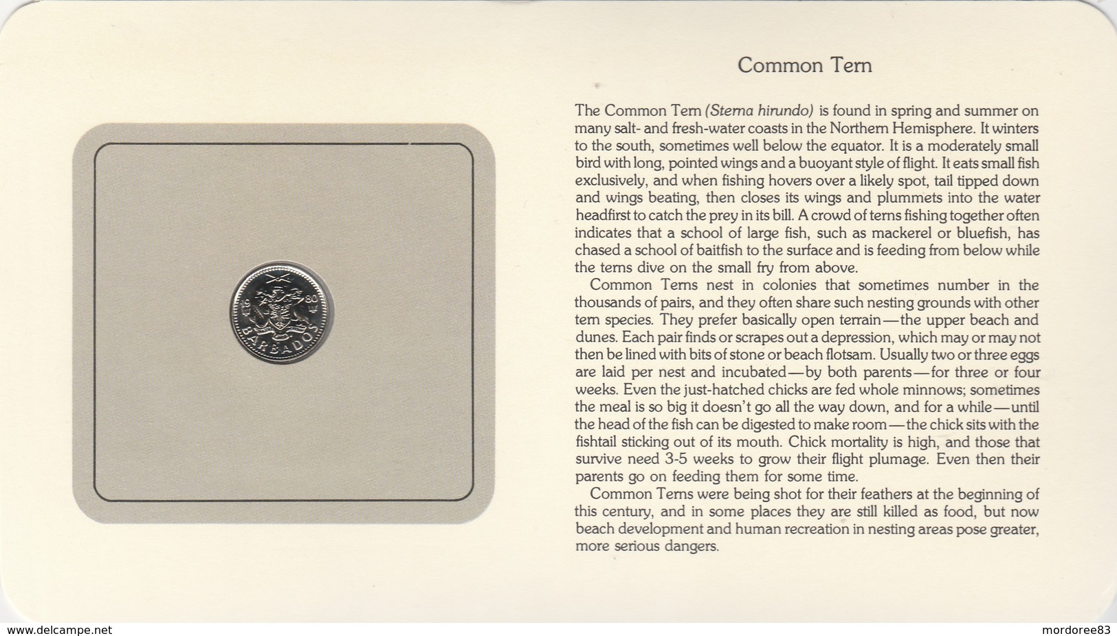 BIRD COINS OF THE WORLD - PIECES D OISEAUX - TEN CENTS - COMMON TERN - STERNE PIERREGARIN 1980 - Barbades