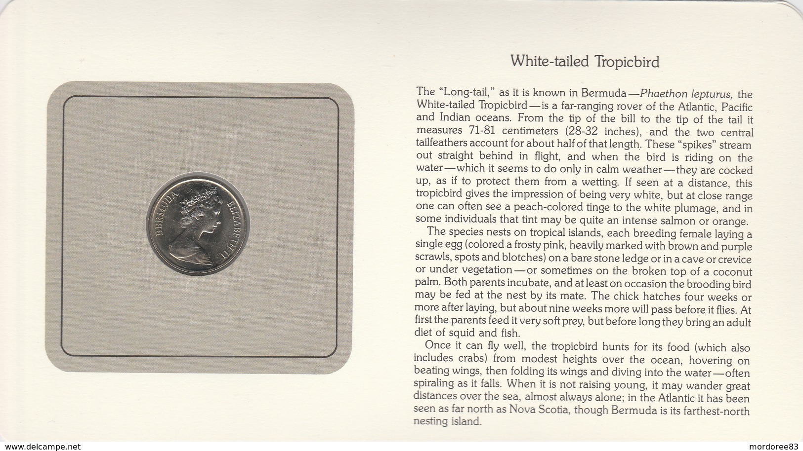 BIRD COINS OF THE WORLD - PIECE D OISEAUX  - TWENTY FIVE CENTS - WHITE TAILED TROPICBIRD - Phaéton à Bec Jaune - 1981 - Bermuda