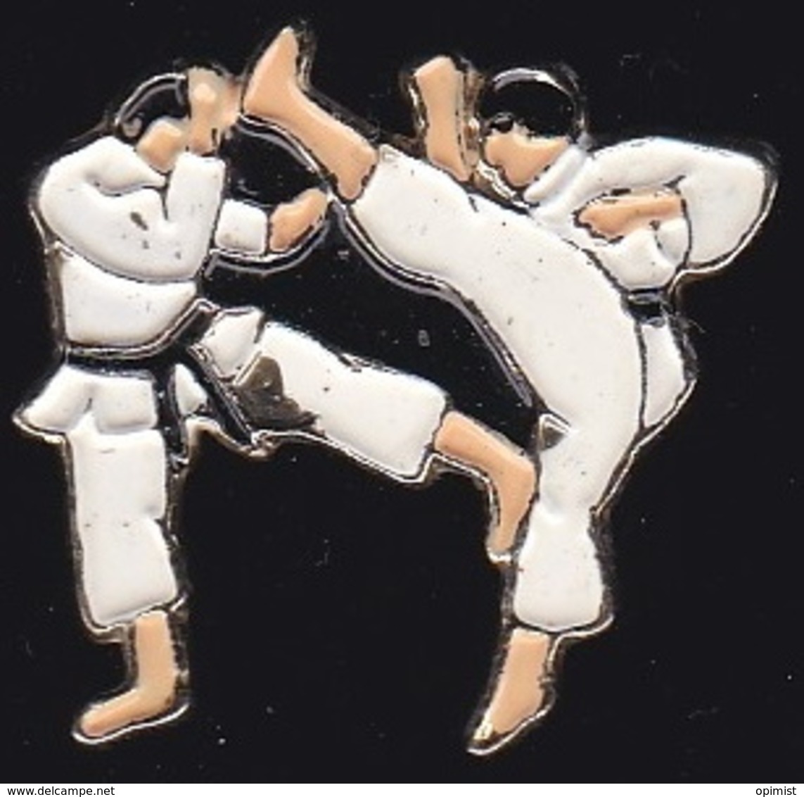 64869 -Pin's-Karaté - Judo