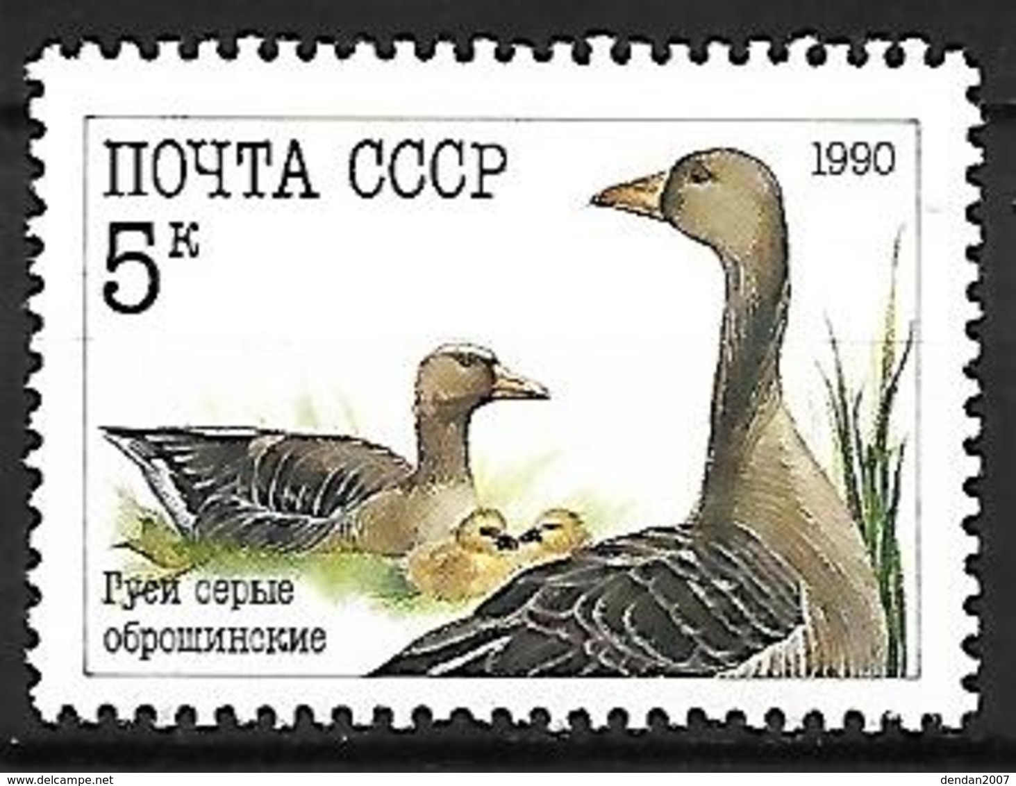 Russia CCCP Sovjet - MNH 1991 :   Greylag Goose  -  Anser Anser - Gänsevögel