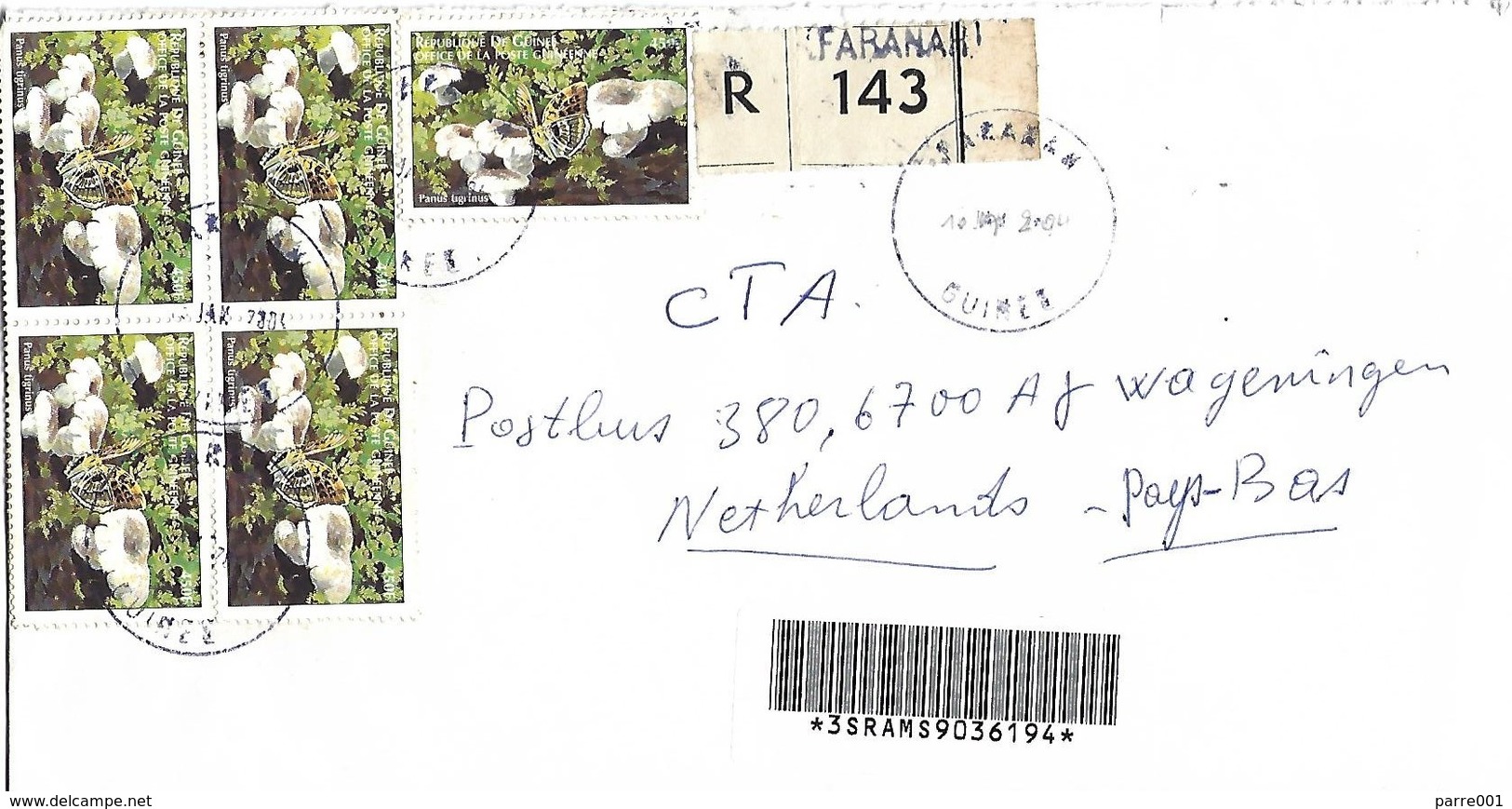 Guinee Guinea 2004 Faranah Tiger Sawgill Mushroom Lentinus Tigrinus Registered Cover - Guinée (1958-...)