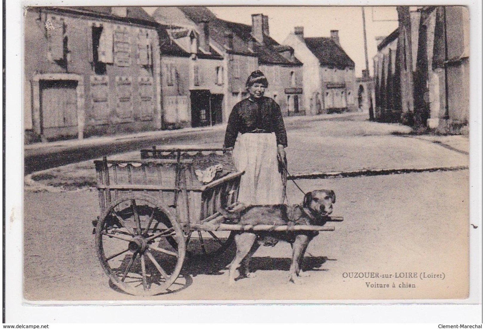 OUZOUER-sur-LOIRE : Voiture à Chien - Très Bon état - Ouzouer Sur Loire