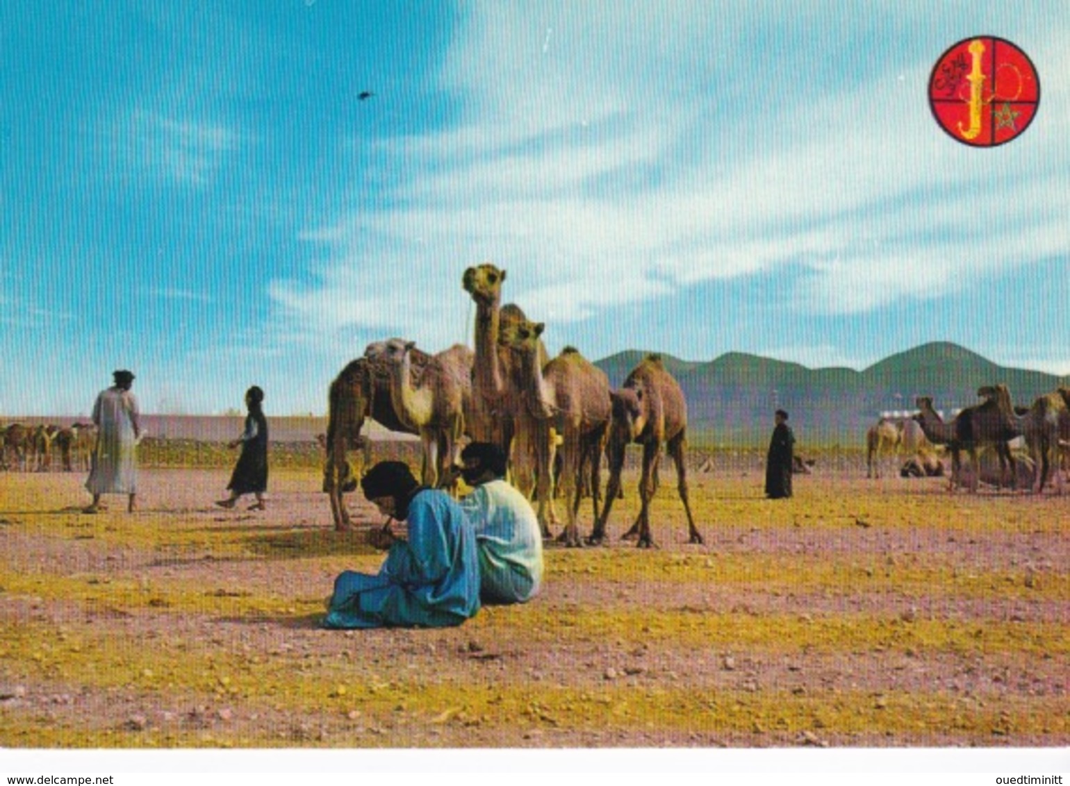 Mauritanie/ Maroc/Sahara Occidental,Hommes Bleus, Marché Aux Chameaux, Goulimine. - Mauritania