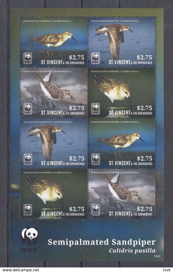 St. Vincent, 2014. Birds, WWF (s\s) - Unused Stamps