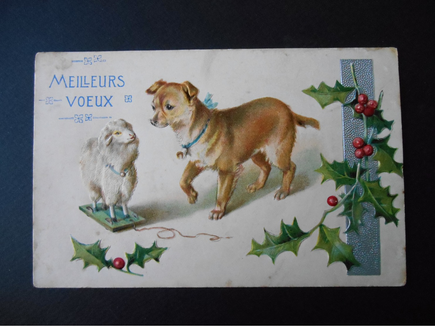 Chien Marron Clair Avec Jouet Mouton, Houx - Gaufrée - Perros