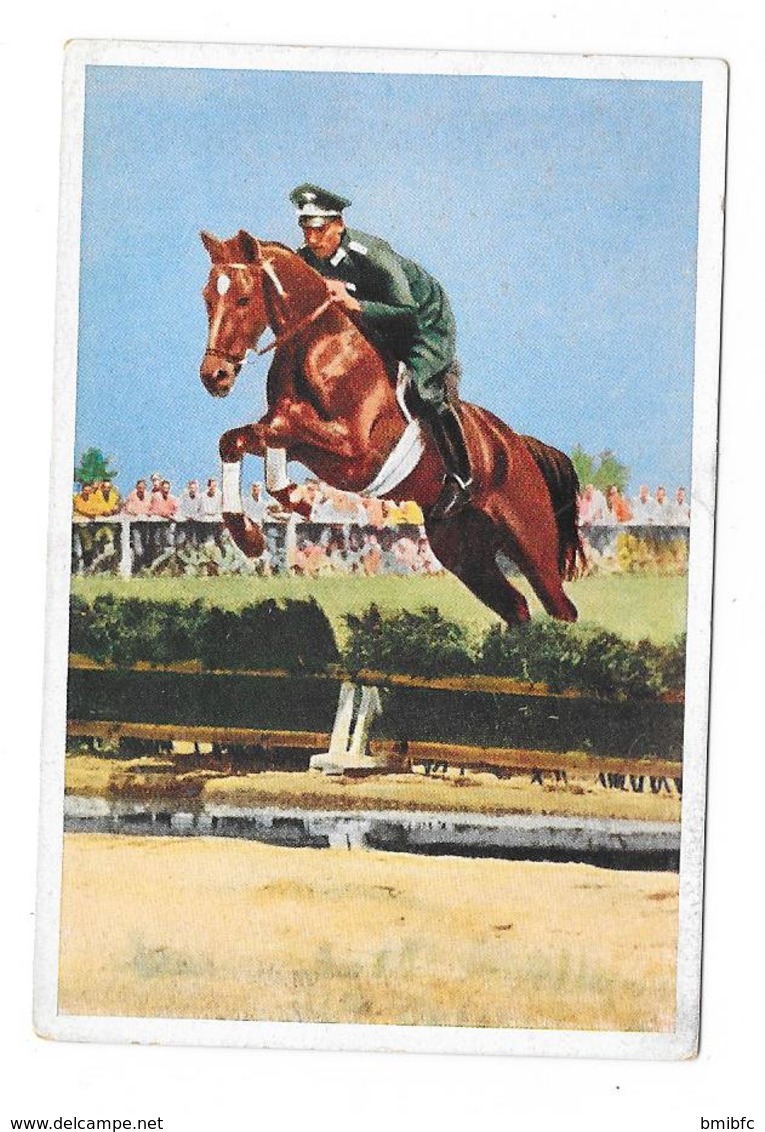 Olympia 1936 - BERLIN -  Hauptmann Von Stubbendorf - Trading Cards