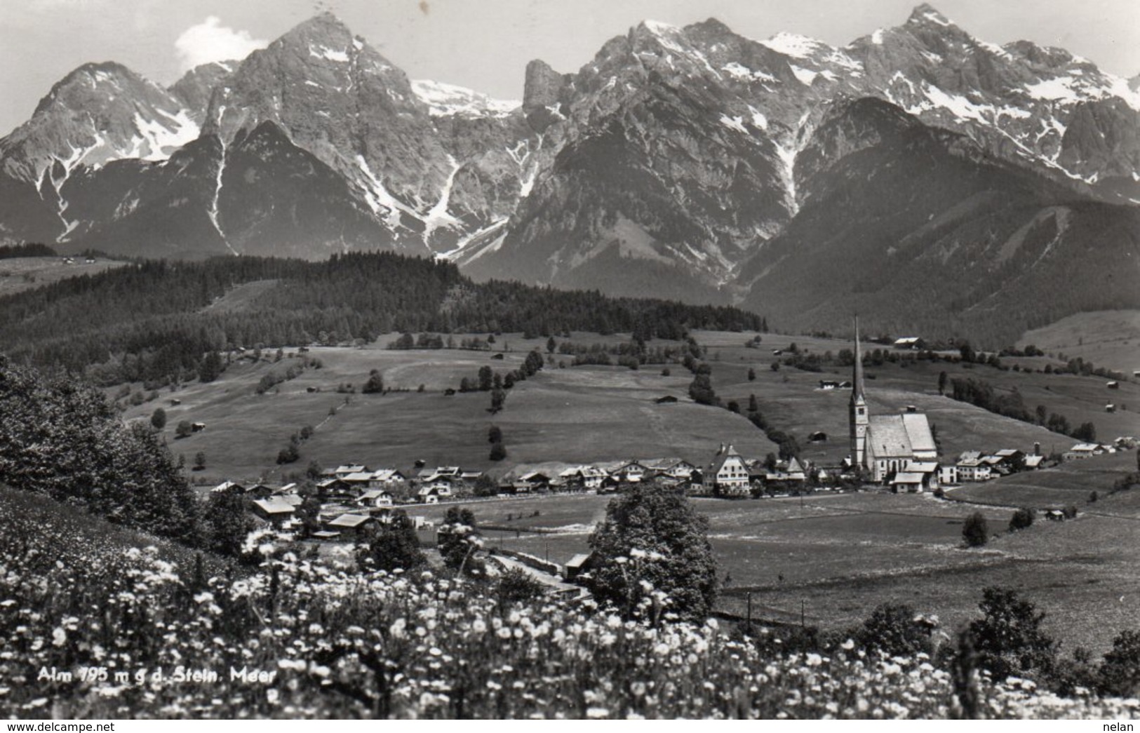 ALM-STEIN MEER-REAL PHOTO-1959 - Maria Alm