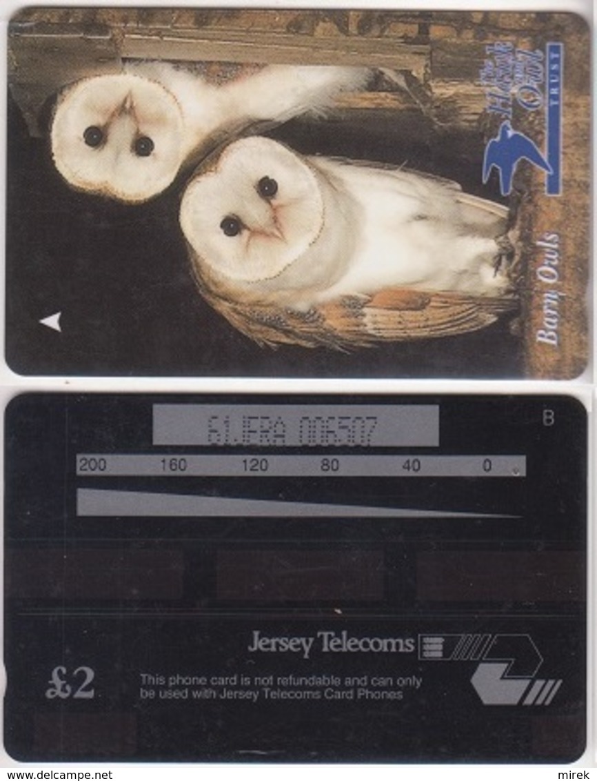 312/ Jersey; P197. Barn Owls, 61JERA - [ 7] Jersey And Guernsey