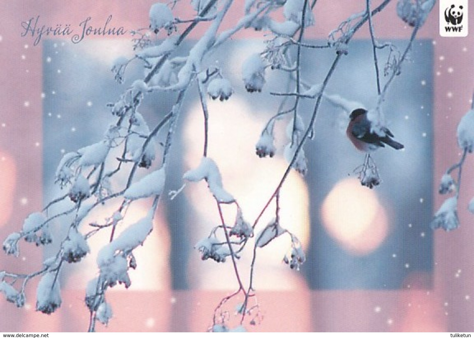 Postal Stationery - Reindeer - Bird - Bullfinch In Winter Landscape - WWF Panda Logo 2010 - Suomi Finland - Postage Paid - Entiers Postaux