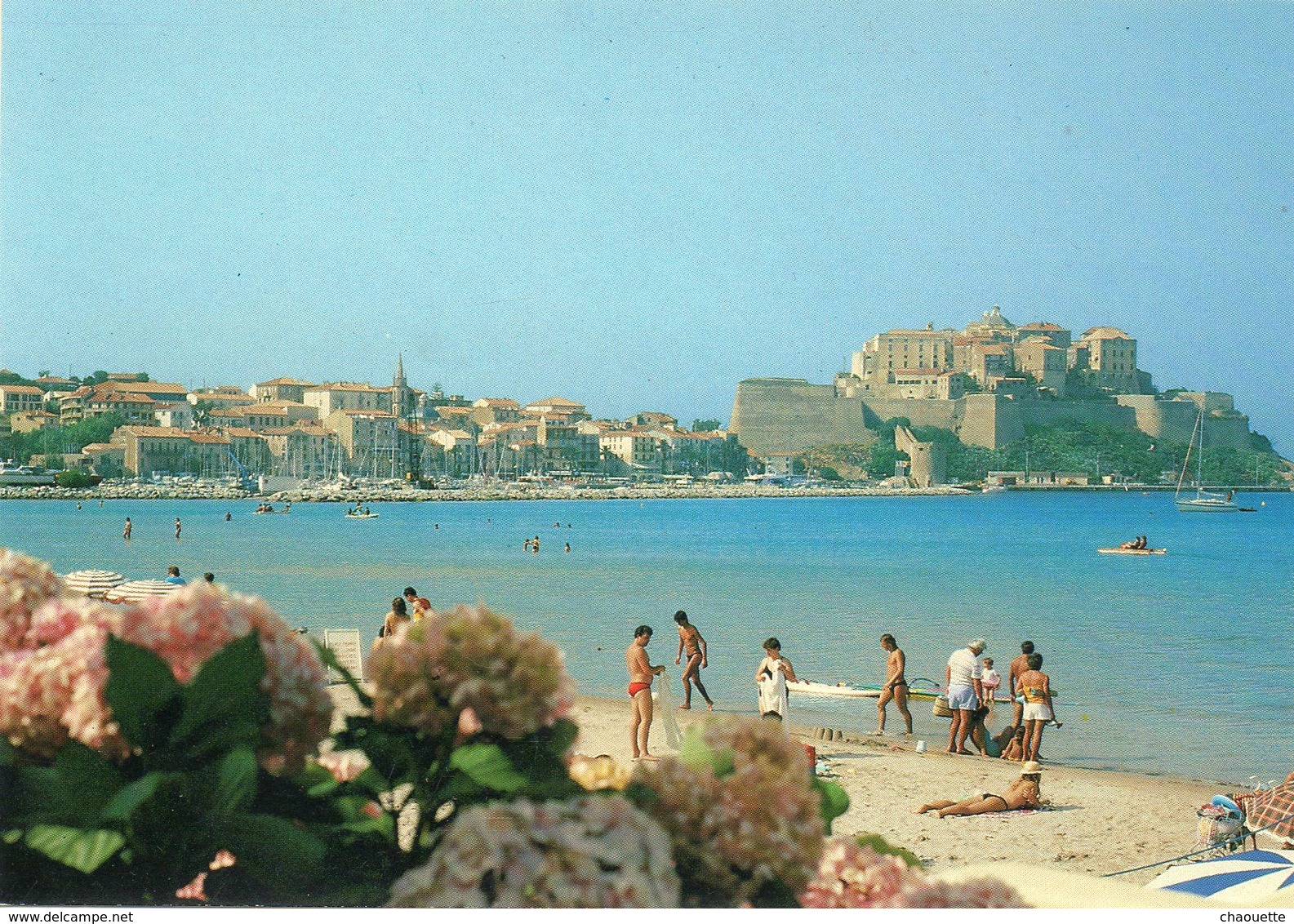 CALVI  LA PLAGE... - Calvi