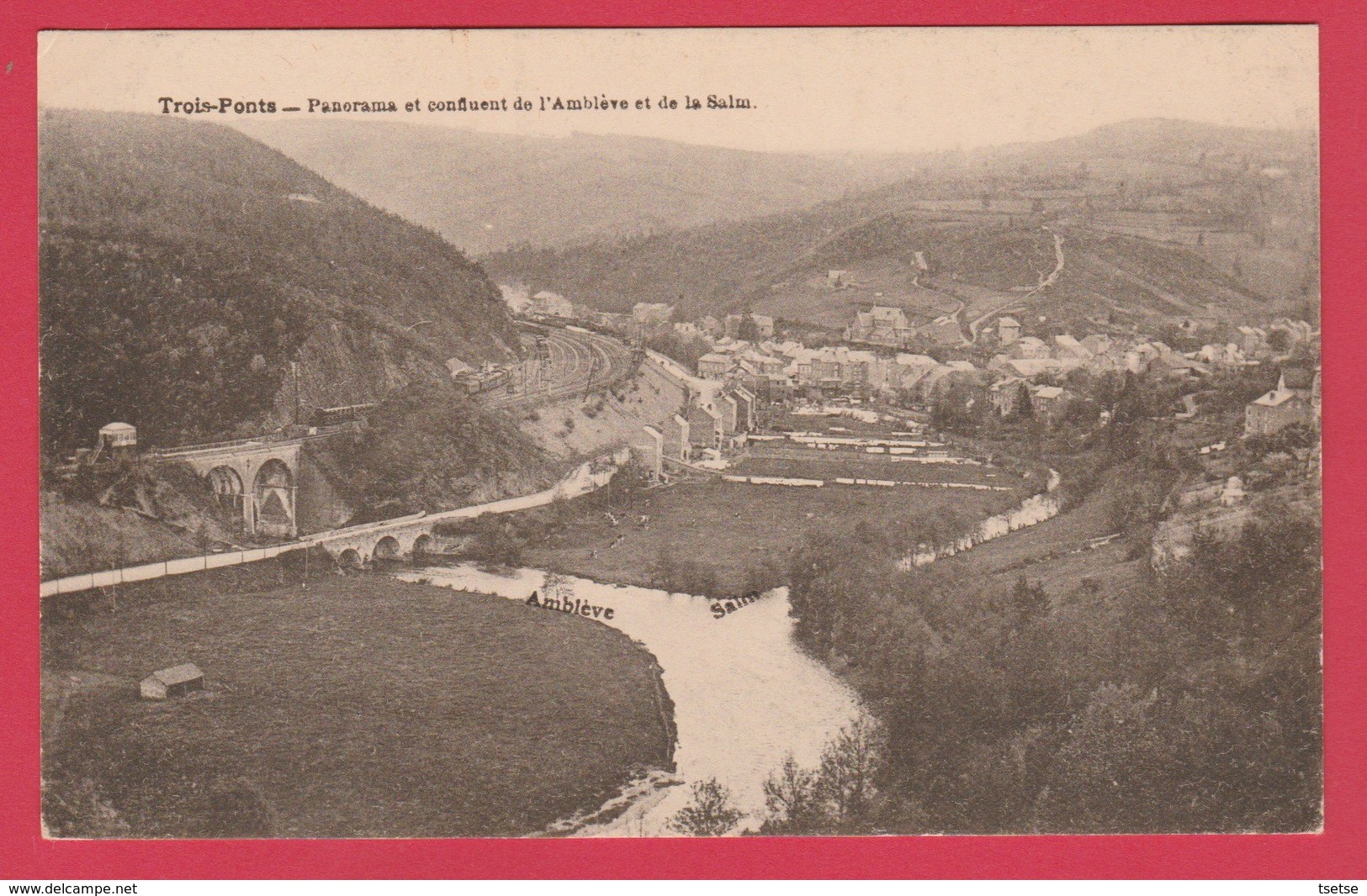 Trois-Ponts - Panorama Et Confluent De L'Amblève Et De La Salm ( Voir Verso ) - Trois-Ponts