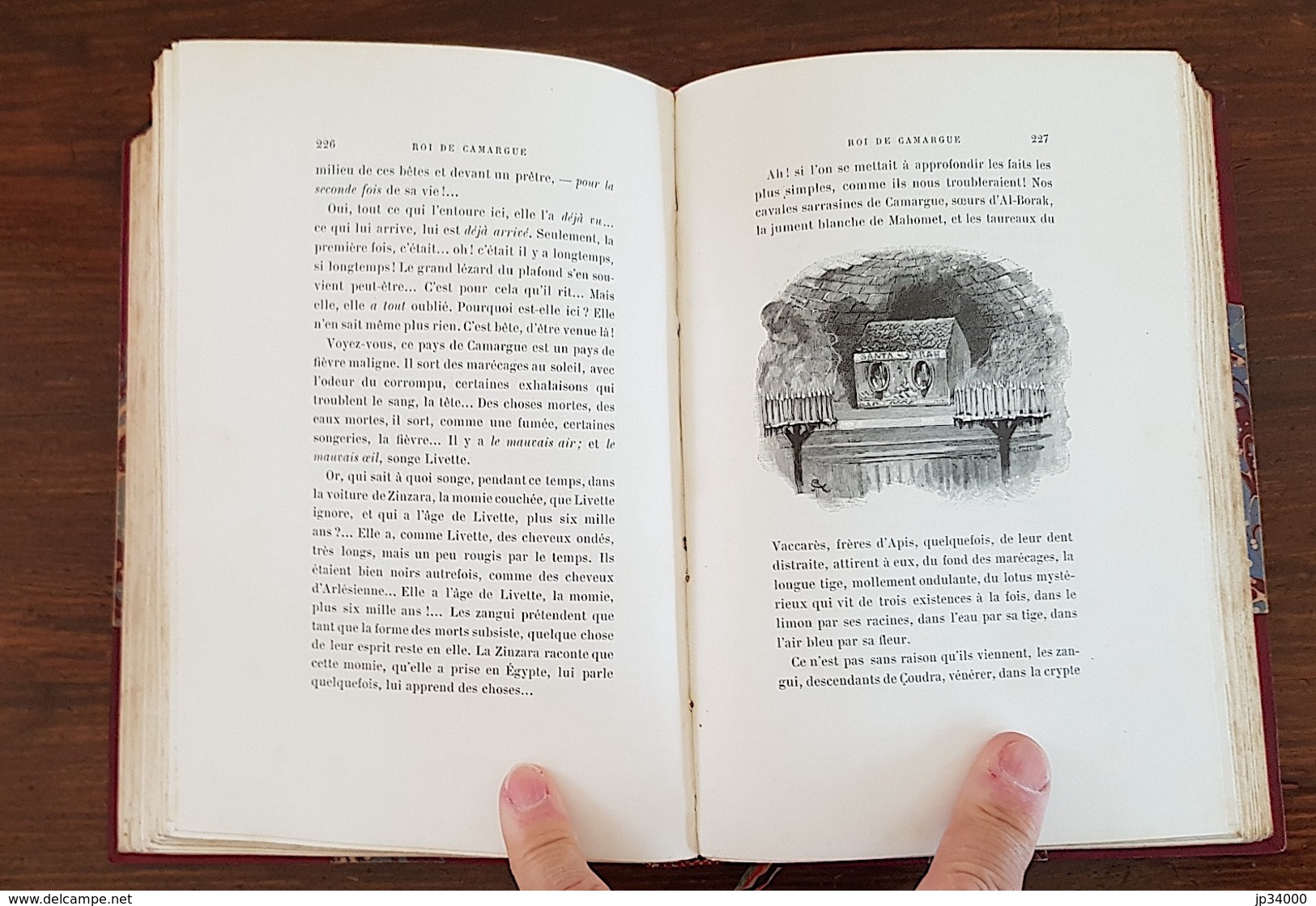 AICARD: Roi de Camargue illustré par ROUX. Reliure époque 1890. Très bel exemplaire.