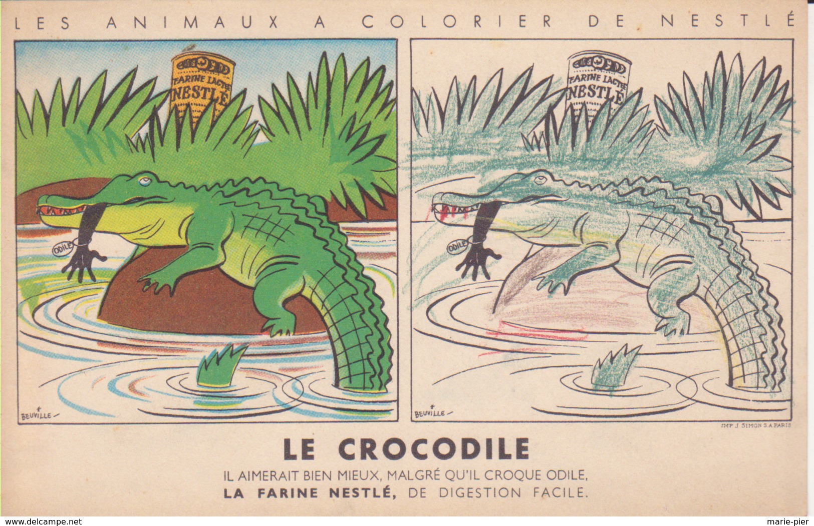 Animaux à Colorier Nestlé - Le Crocodile - Nestlé