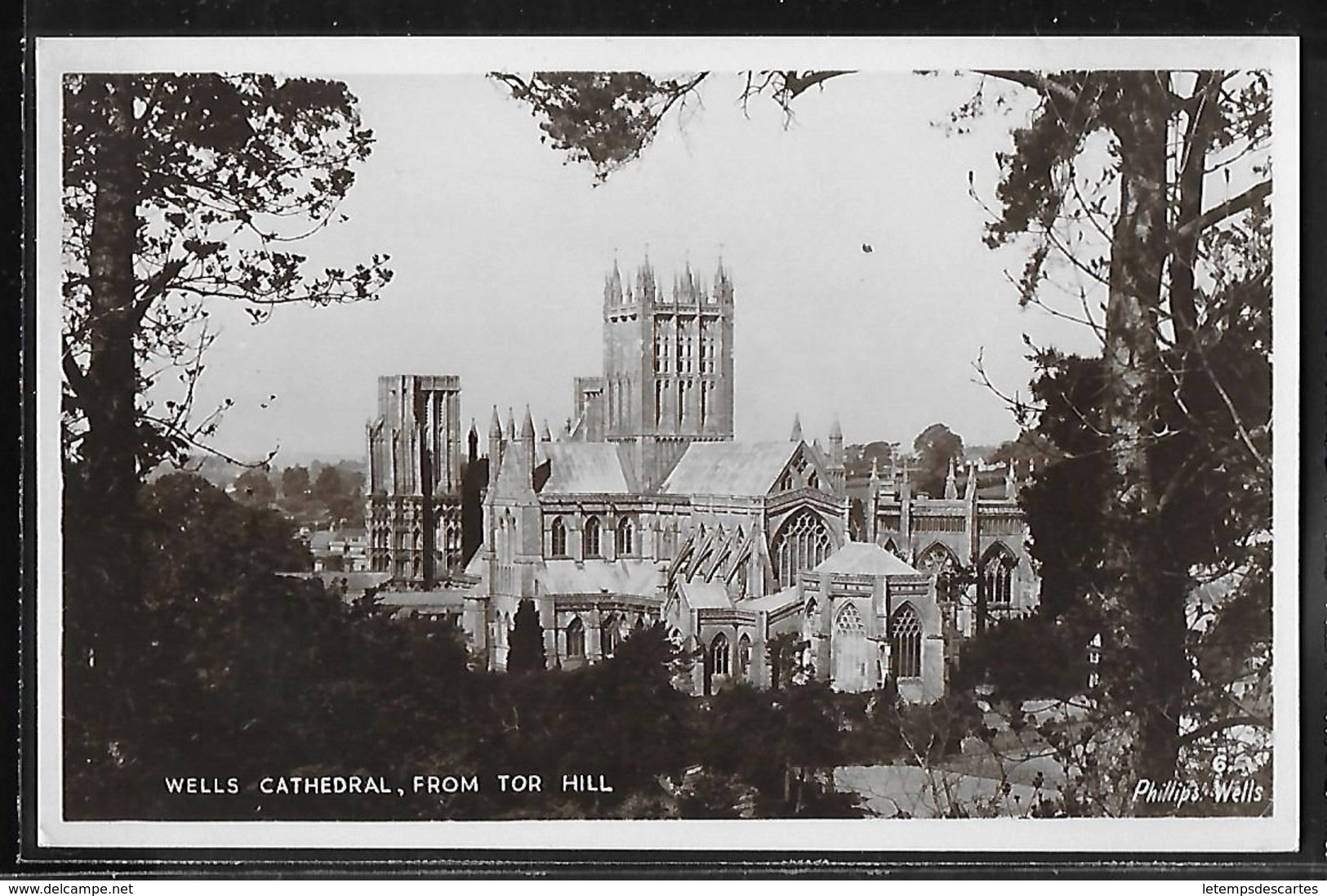 CPA ANGLETERRE - Wells, Cathedral From Tor Hill - Wells