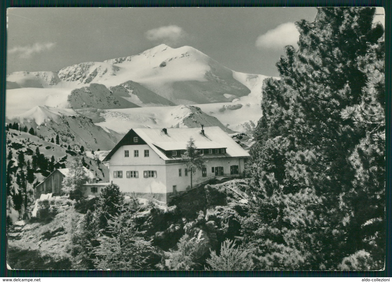 Bolzano Val Martello Rifugio Capanna Genziana Enzianhutte FG R477 - Bolzano