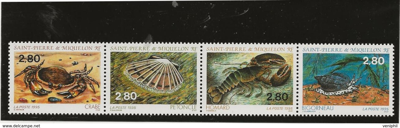 ST PIERRE ET MIQUELON - FAUNE  MARINE - N° 614 A 617 BANDE DE 4 NEUVE -ANNEE 1995 - Neufs