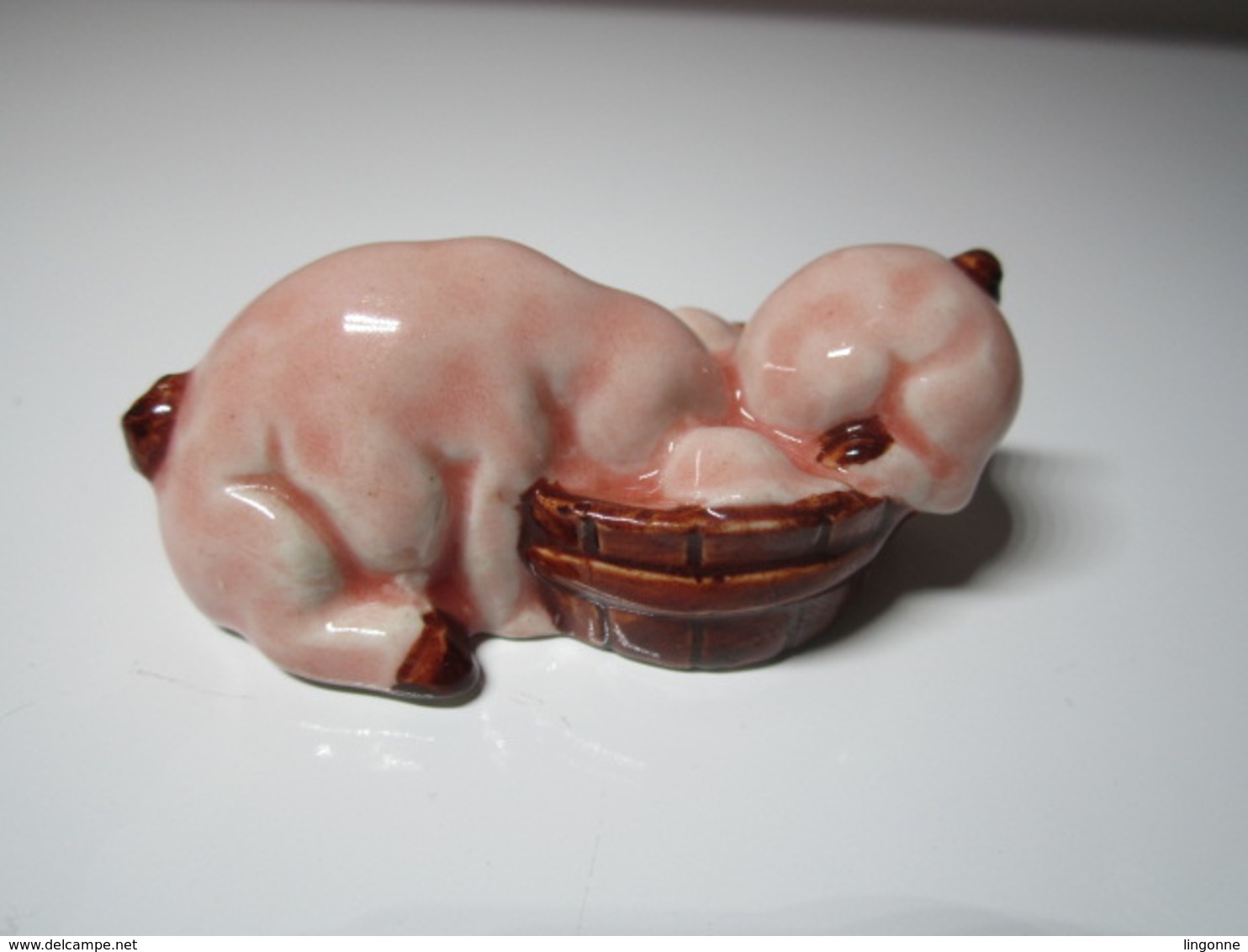 2 COCHONS LA TÊTE DANS LA GAMELLE Pour Collection. - Schweine