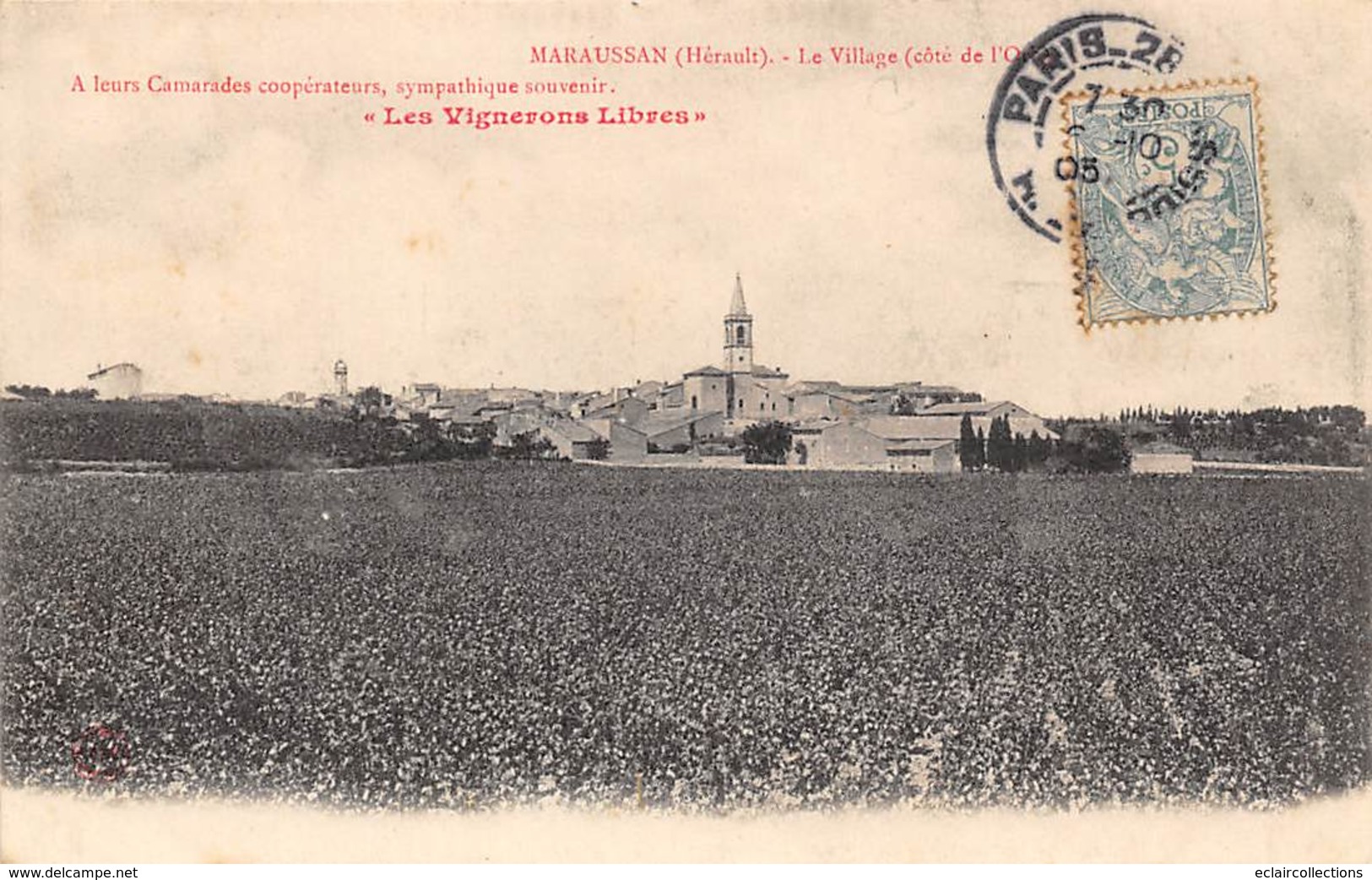 Maraussan           34           Le Village.  Edition Les Vignerons Libres        (Voir Scan) - Sonstige & Ohne Zuordnung