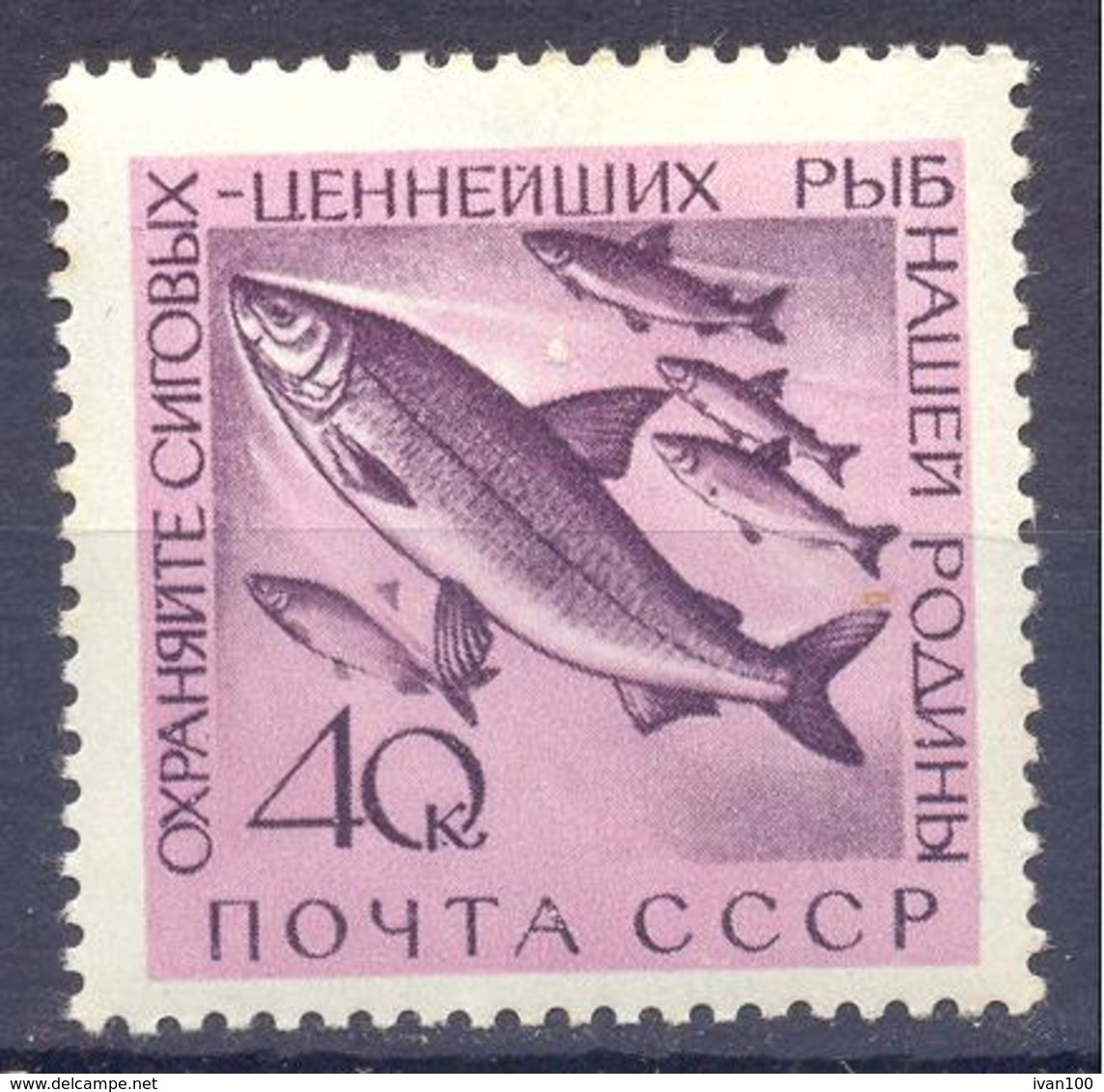 1960. USSR/Russia, Fisheries Protection, Mich.2385, 1v, Mint/** - Unused Stamps