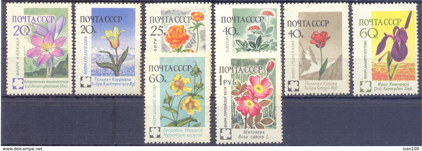 1960. USSR/Russia, Flowers Of Russia, Mich.2418/25, 8v, Mint/** - Unused Stamps