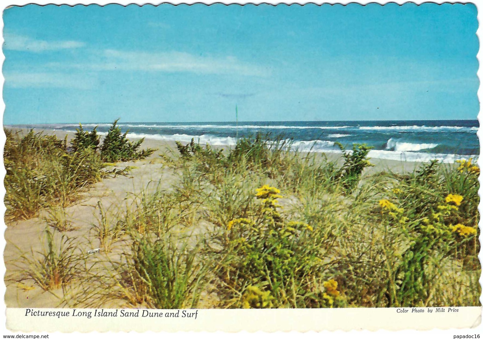 USA - NY - Picturesque Long Island Sand Dune And Surf - Vacation Playground (circ. 1981) - New York] - Long Island