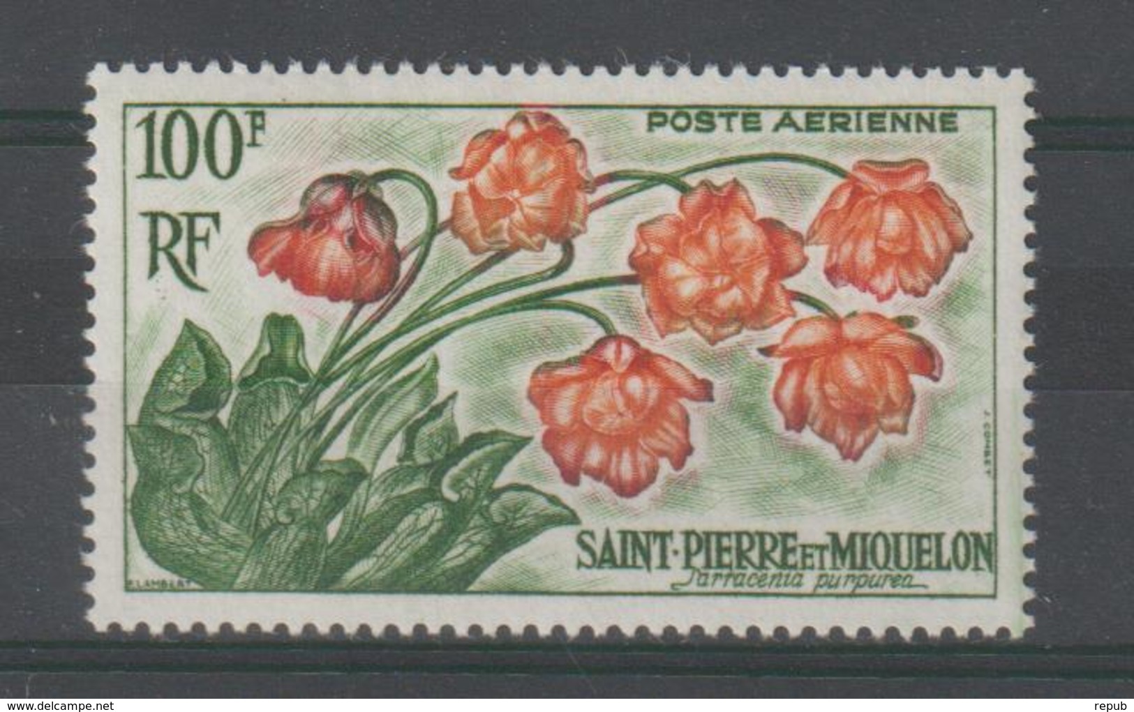 Saint Pierre Et Miquelon 1962 Plante PA 27 ** MNH - Ongebruikt