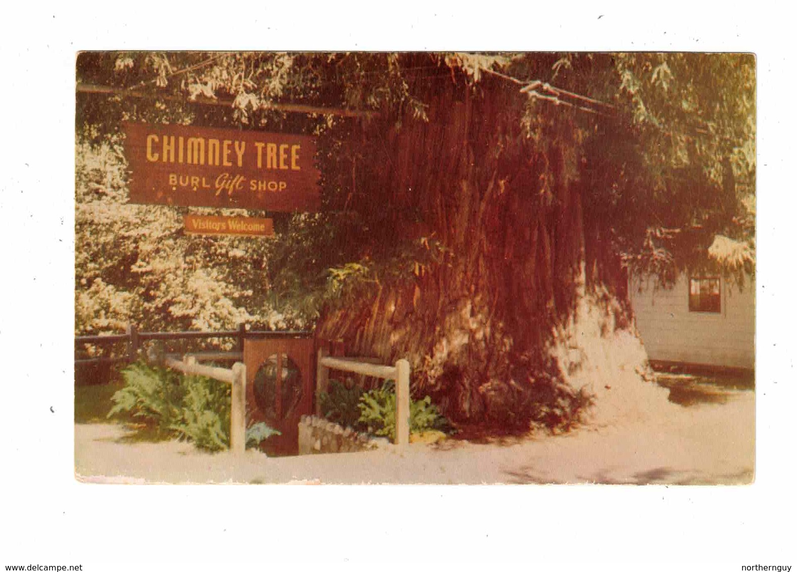 PHILLIPSVILLE, California, USA, The Chimney Tree & Burl Gift Shop, Old Chrome Postcard - Other & Unclassified