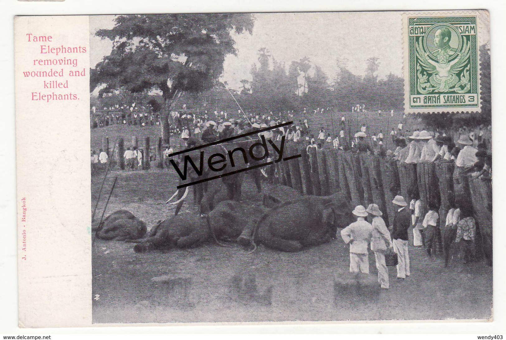 Siam (Tame Elephants Removing Wounded And Killed Elephants) - Tailandia