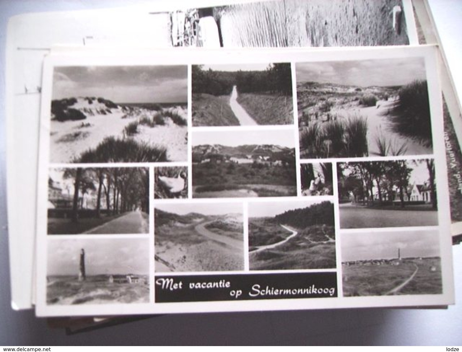 Nederland Holland Pays Bas Schiermonnikoog Met Dorp, Flora En Fauna - Schiermonnikoog