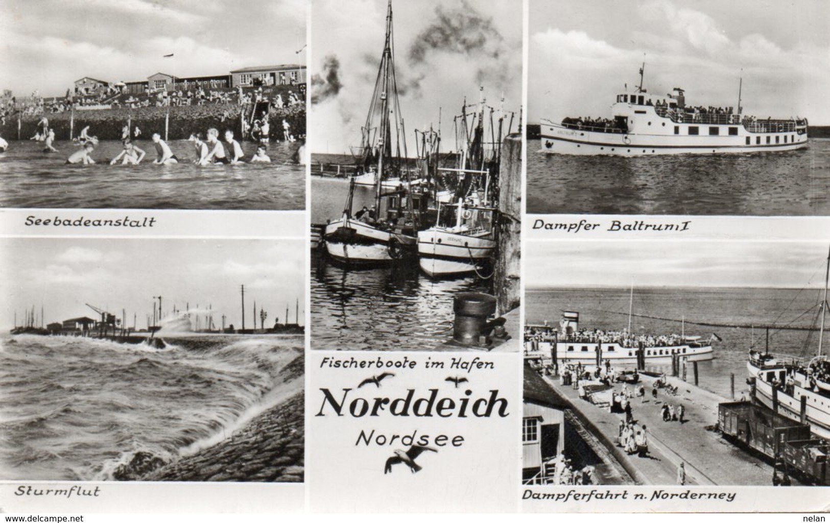 NORDDEICH-NORDSEE-REAL PHOTO-1953 - Aurich