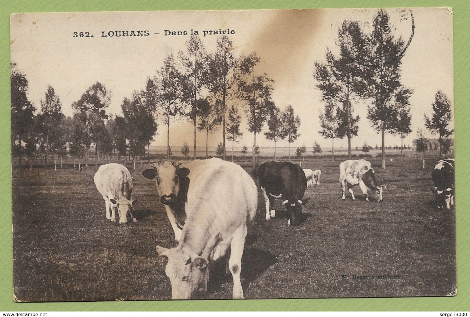 71 Saone Et Loire Louhans ( Vaches ) Env De Cuiseaux - Other & Unclassified