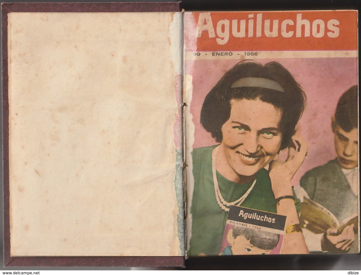 Revista Para Todos. Aguiluchos. Año 1966 Completo. N° 99-109. Condición Media. Manchas.  Primera Página Pegada. - Juniors