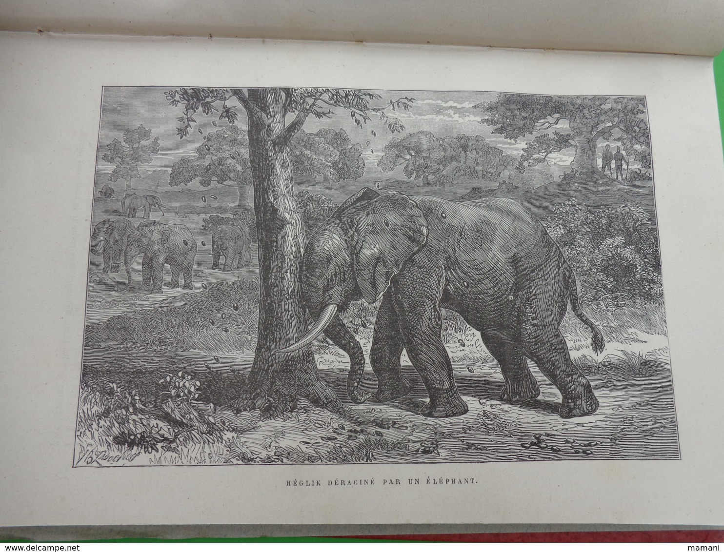 livre-recompense-college de cette-l'afrique equatoriale sir s. white baker -1890-37 gravures + carted'ismailia