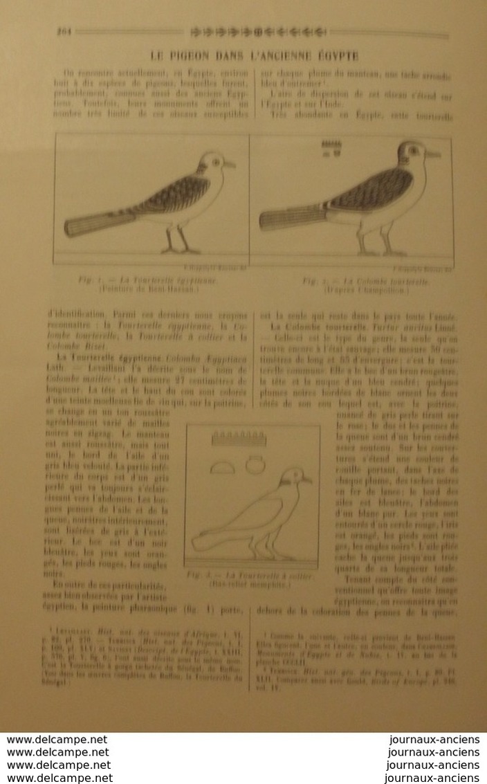 1909 LE PIGEON DANS L'NCIENNE EGYPTE - Other & Unclassified