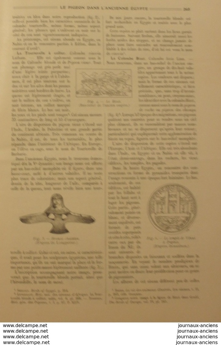 1909 LE PIGEON DANS L'NCIENNE EGYPTE - Other & Unclassified